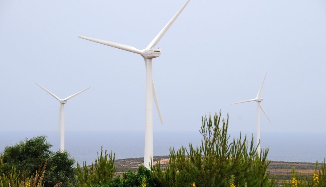Wind farm India