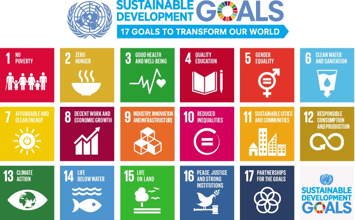 UN 17 SDGs | T&D India