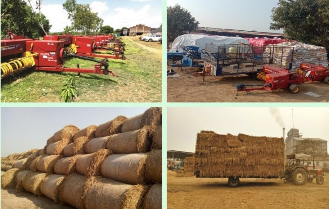 Punjab Biomass | T&D India